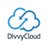 DivvyCloud標誌