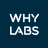 WhyLabs標誌