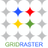 GridRaster標誌