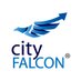 CityFALCON標誌